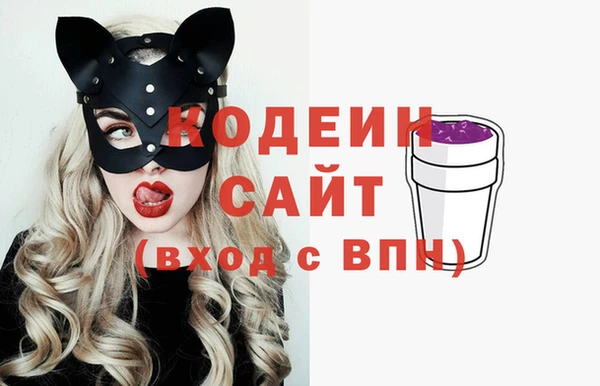 индика Пересвет