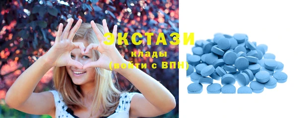 индика Пересвет
