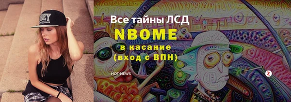 индика Пересвет