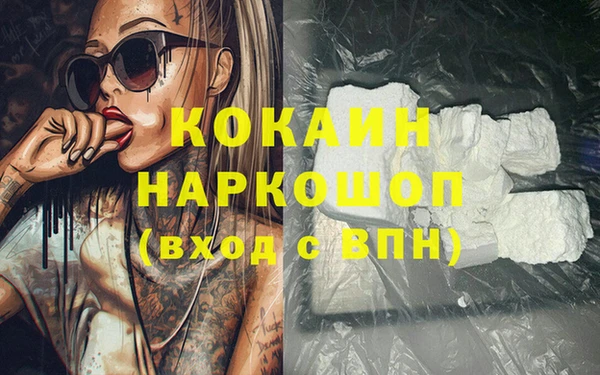 индика Пересвет
