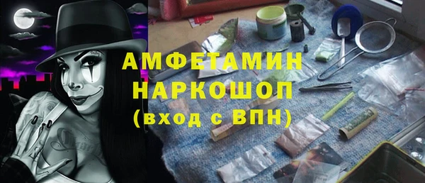 индика Пересвет