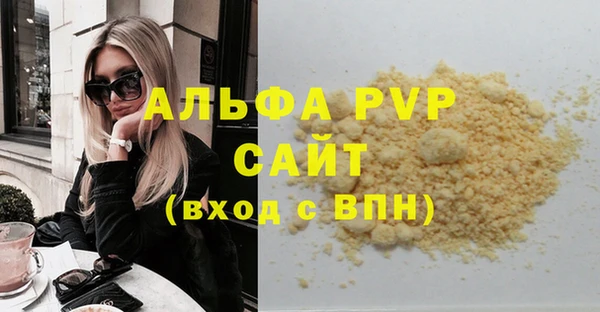 индика Пересвет