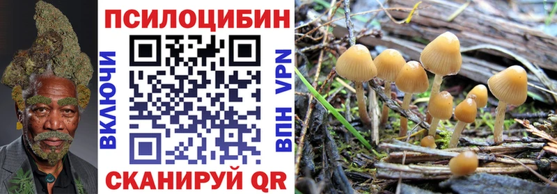 Псилоцибиновые грибы Cubensis Киренск